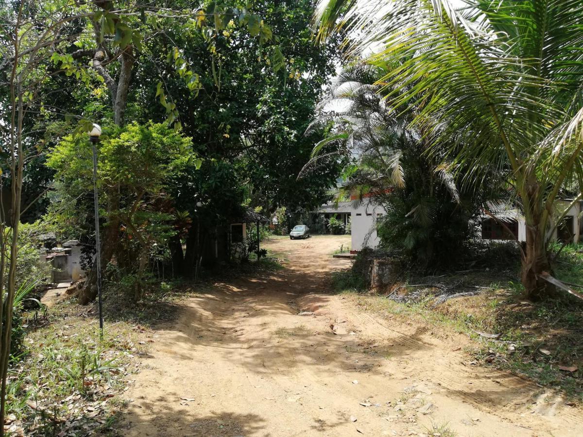Leaf Guest House Gampola Eksteriør billede
