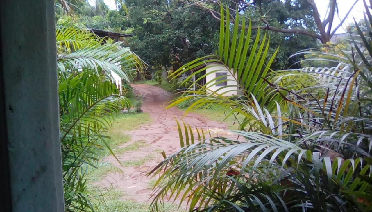 Leaf Guest House Gampola Eksteriør billede