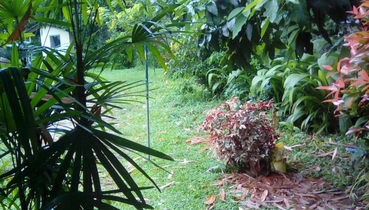 Leaf Guest House Gampola Eksteriør billede