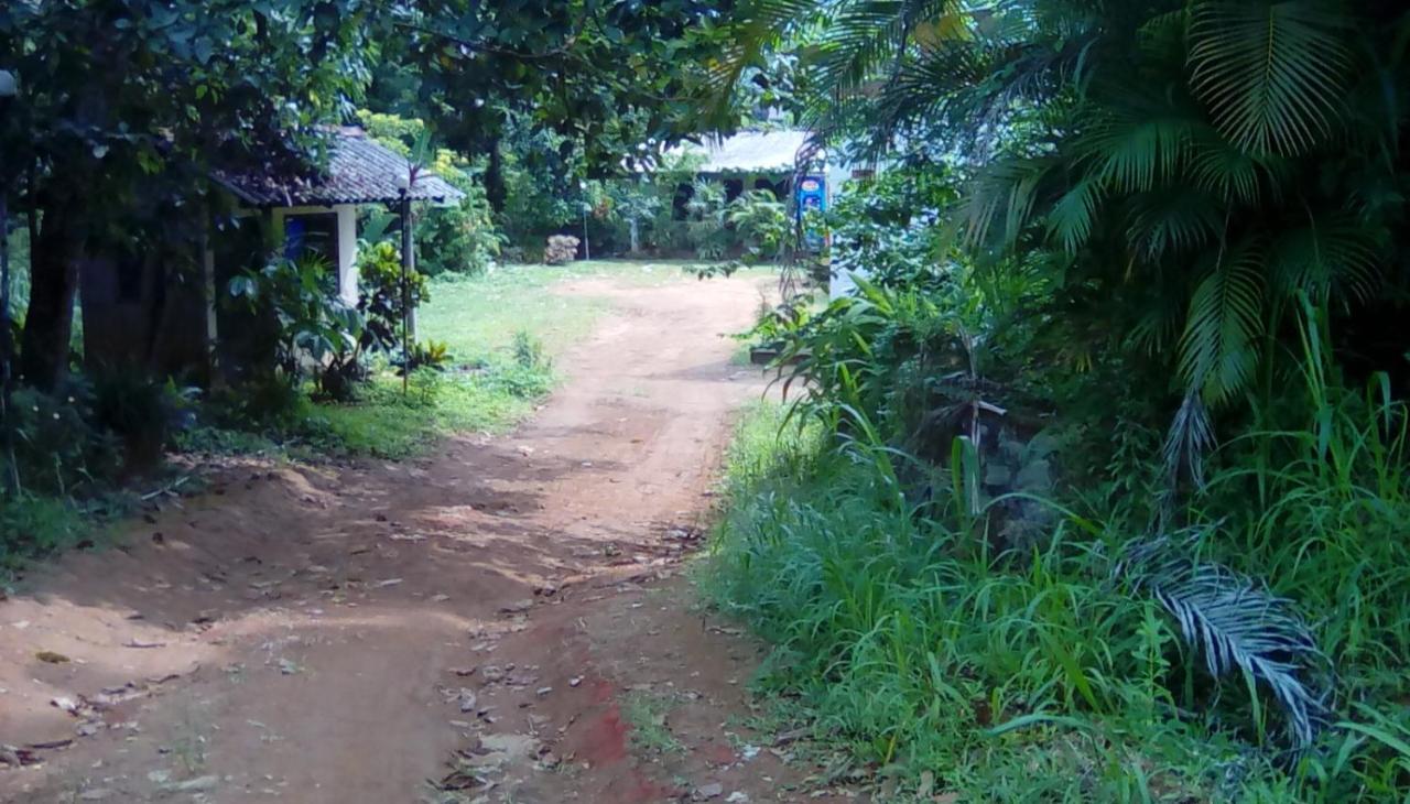 Leaf Guest House Gampola Eksteriør billede